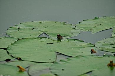 传闻称Xbox负责人菲尔·斯宾塞即将离任